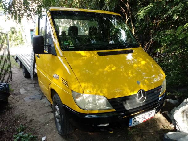 lifting rzęs w Pile