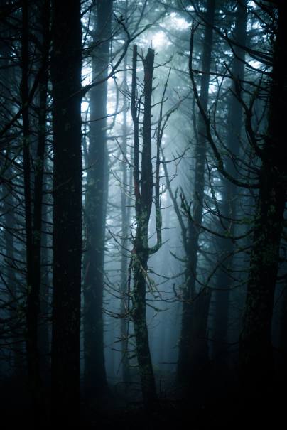 Wroclaw sprzatanie biur