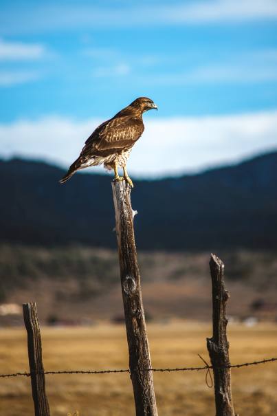 Wroclaw fotowoltaika