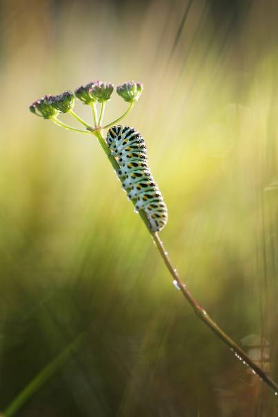 Kraków biuro rachunkowe