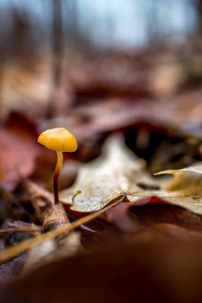 fotowoltaika Wrocław