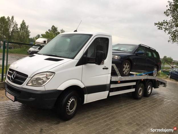 Piła gabinet kosmetyczny brwi