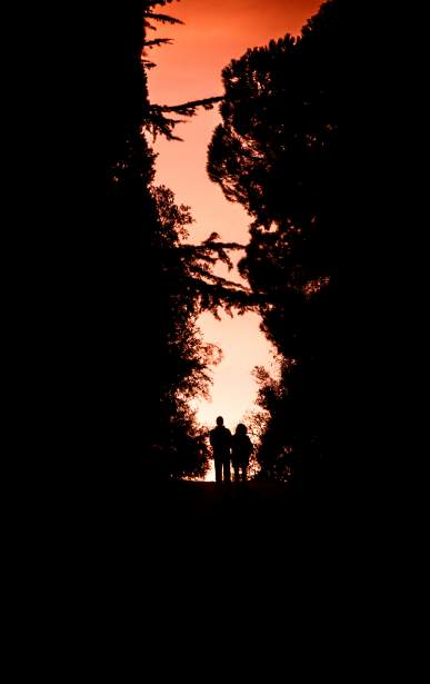 sprzątanie biur Wrocław tanio