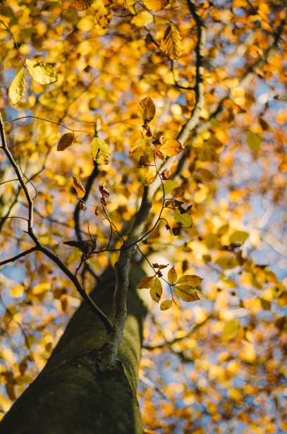 doradztwo podatkowe Kraków