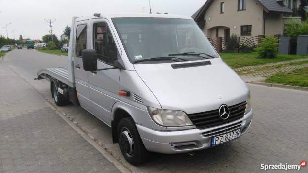 odżywienie brwi Piła