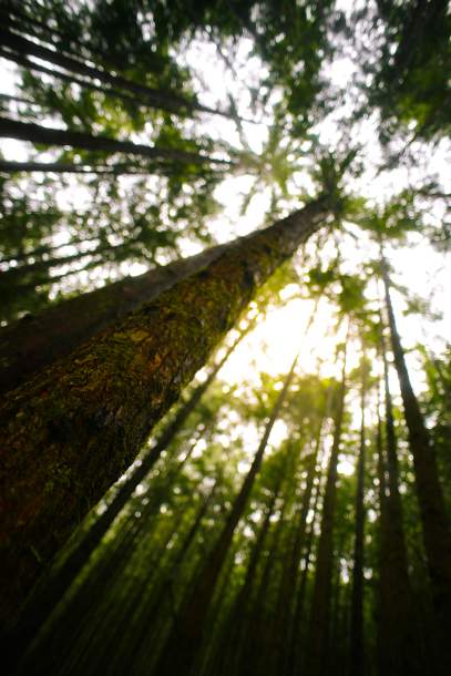 najlepsze studio urody Piła