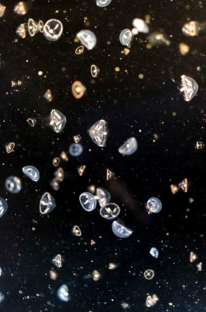 fotowoltaika Wroclaw