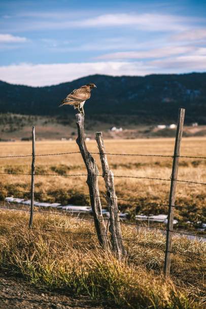 biuro podatkowe Skała