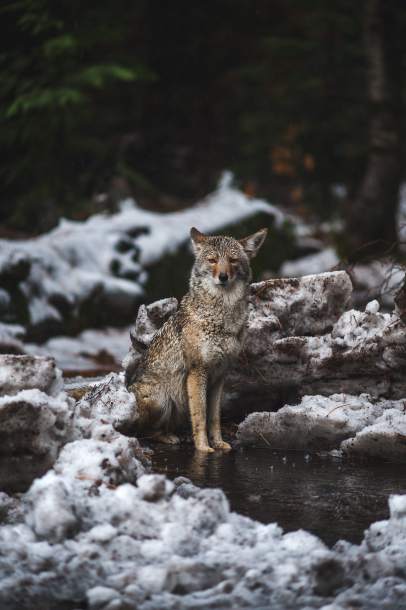 biuro rachunkowe Warszawa