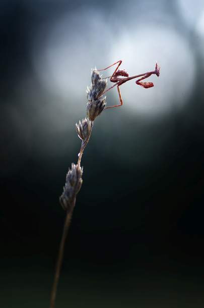 biuro podatkowe Ropczyce