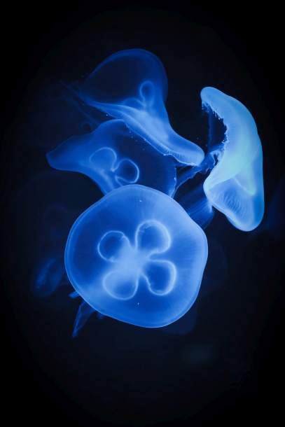 szkolenia bhp Władysławowo