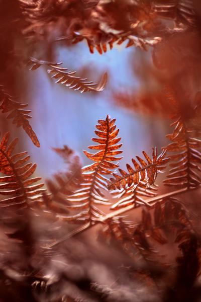 fotowoltaika Wrocław